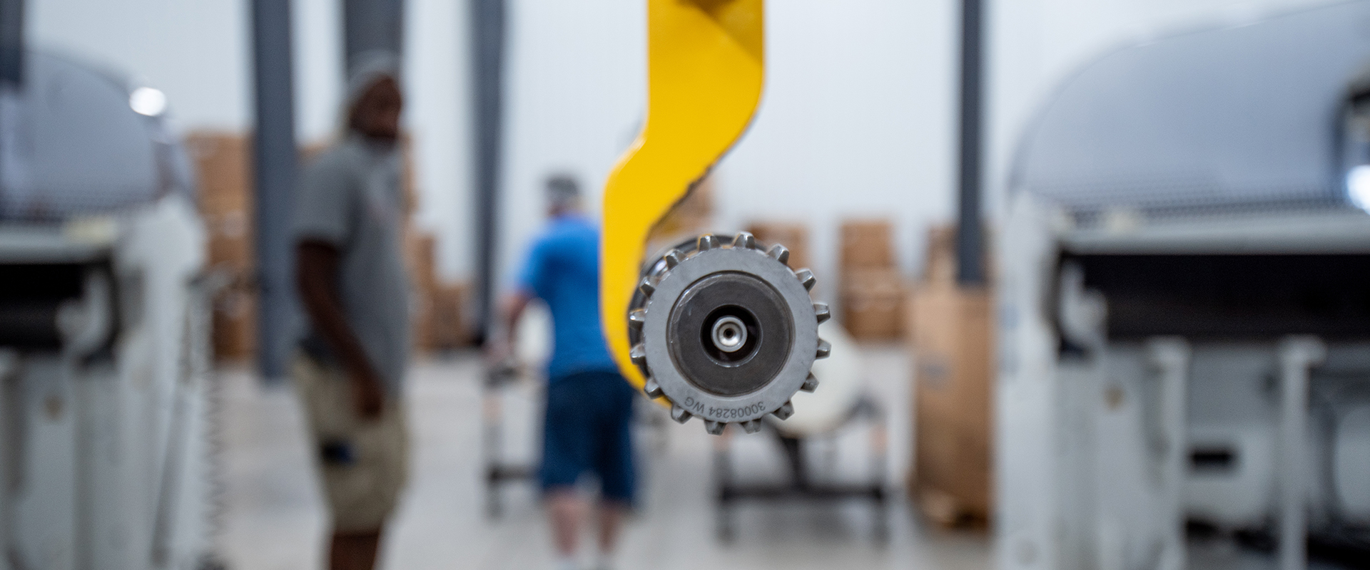 Services - ColorMasters